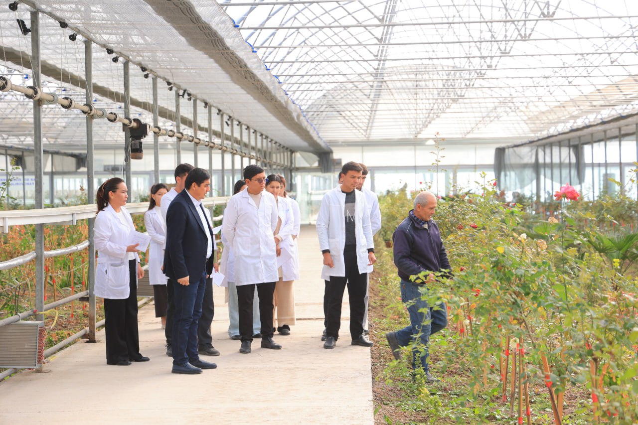 Nazariya va amaliyot uyg‘unligi — sifatli ta’lim garovi!