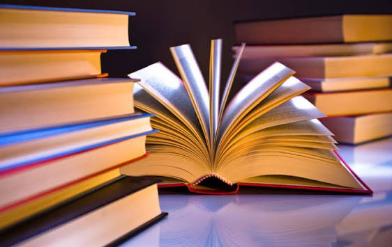 THE RESULTS OF THE MONITORING OF EDUCATIONAL PROGRAMS ARE SUBMITTED FOR OPEN DISCUSSION.