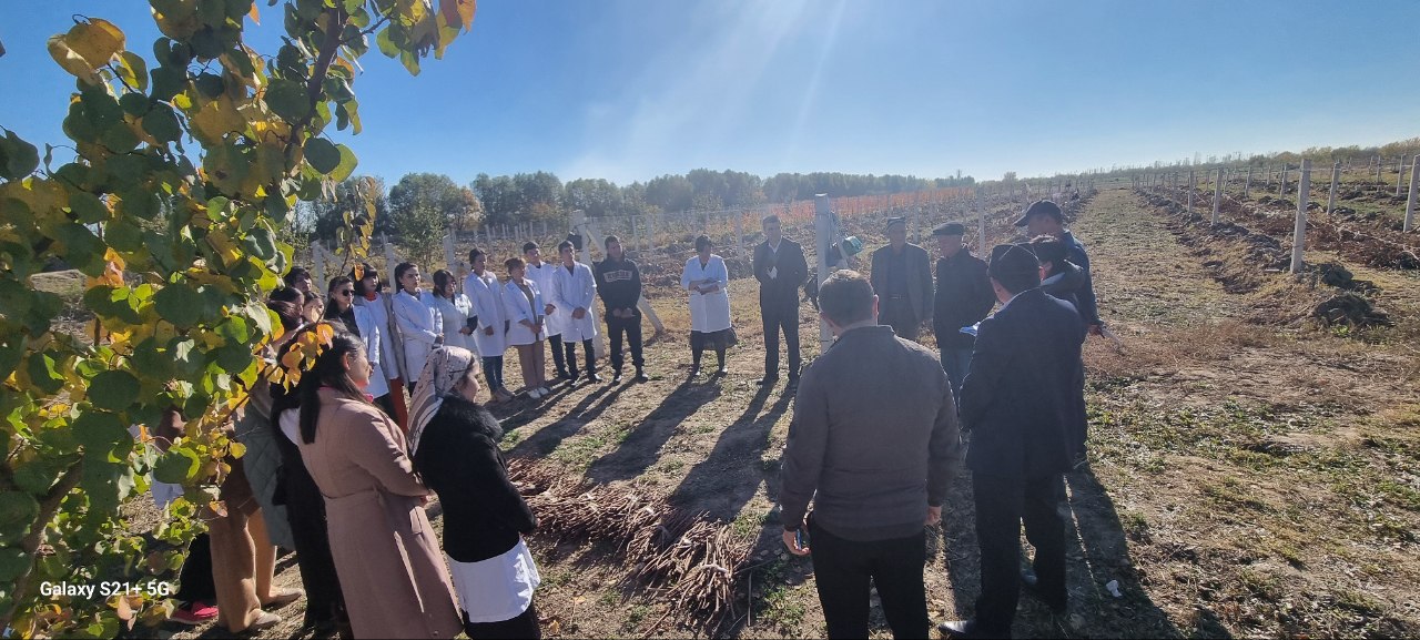 During the practice, Professor of the Tashkent State Agrarian University Hasan Boriev and employees of the international project “AFC” conducted a master class in the field for students of the Department of Horticulture.
