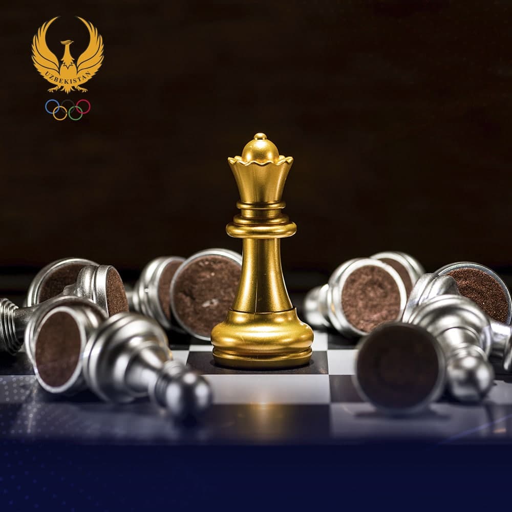 Shaxmat to‘garagi haqida umumiy ma’lumot