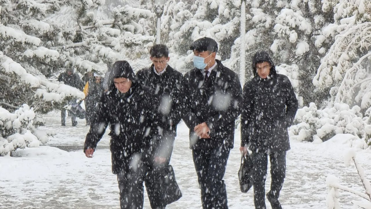 Urgench State University