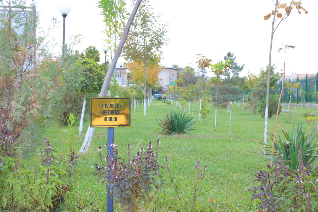 Flourishing works are being carried out on the territory of Urganch State University
