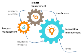 Innovation and Project Management